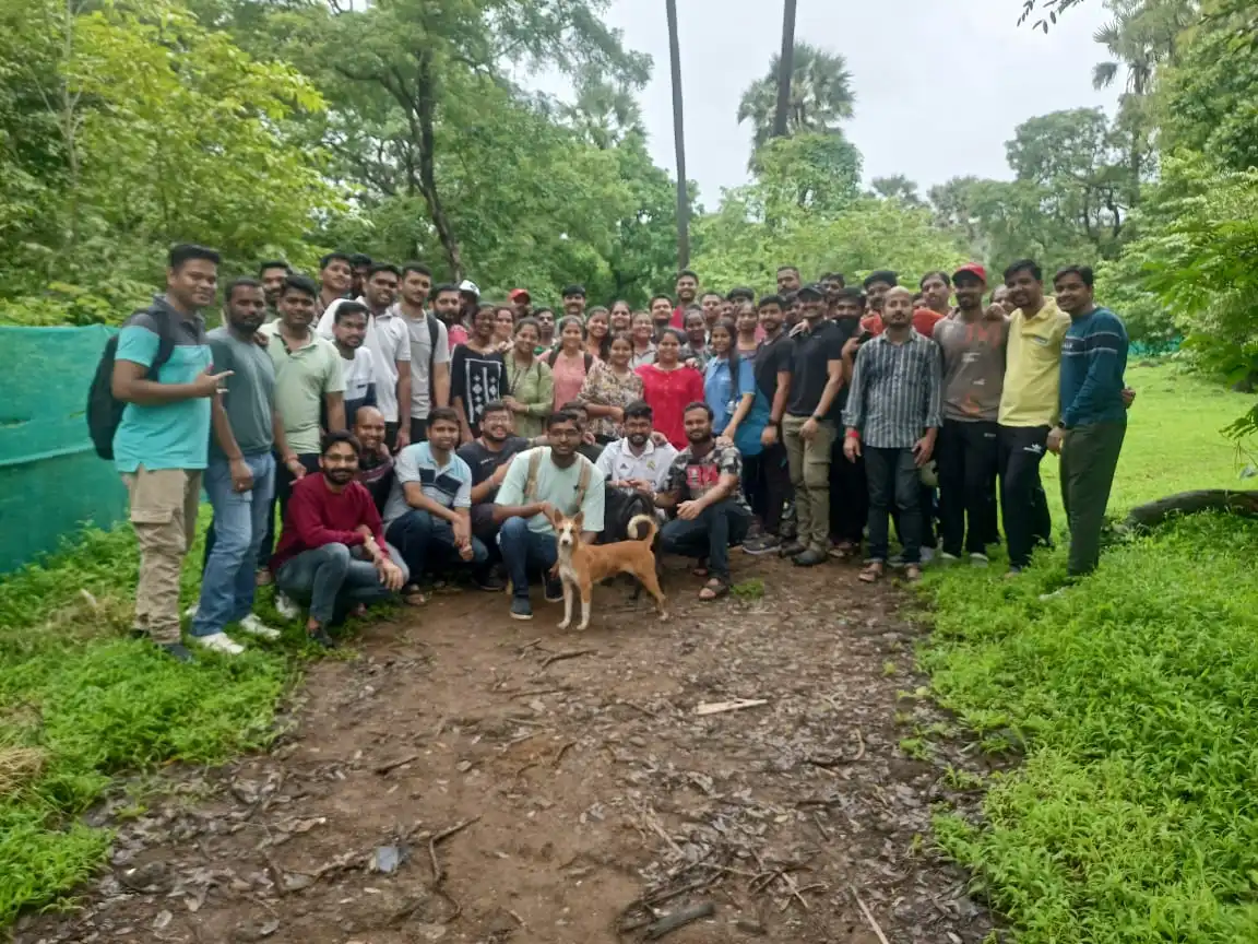 Tree-plantation