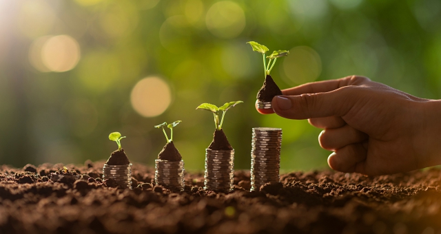 DCB Senior Citizen Fixed Deposit